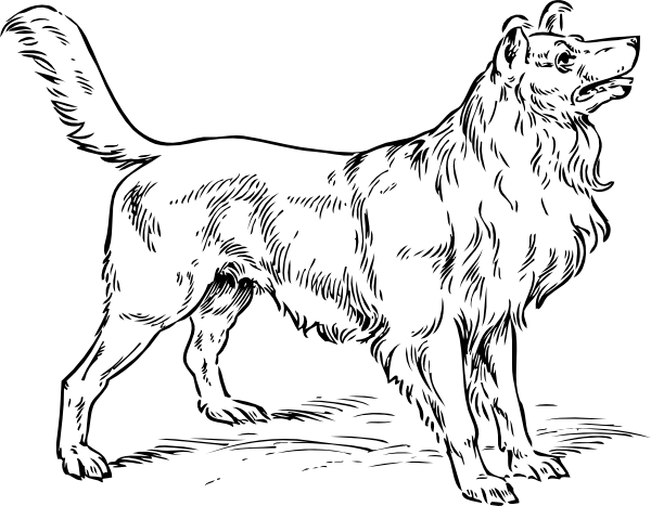 600x467 Bark Cliparts Art