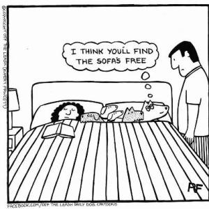 300x300 Dog In Bed Comic Dogs In Bed Cartoon Funny