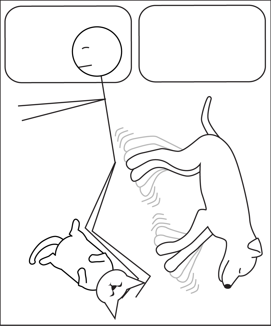 1080x1296 Anatomy Of A Night's Sleep Fish Of Gold