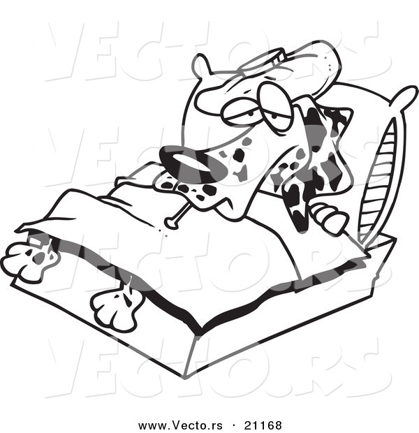 600x620 Vector Of A Cartoon Sick Dalmatian In Bed