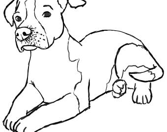 340x270 Pet Portraits Etsy Au
