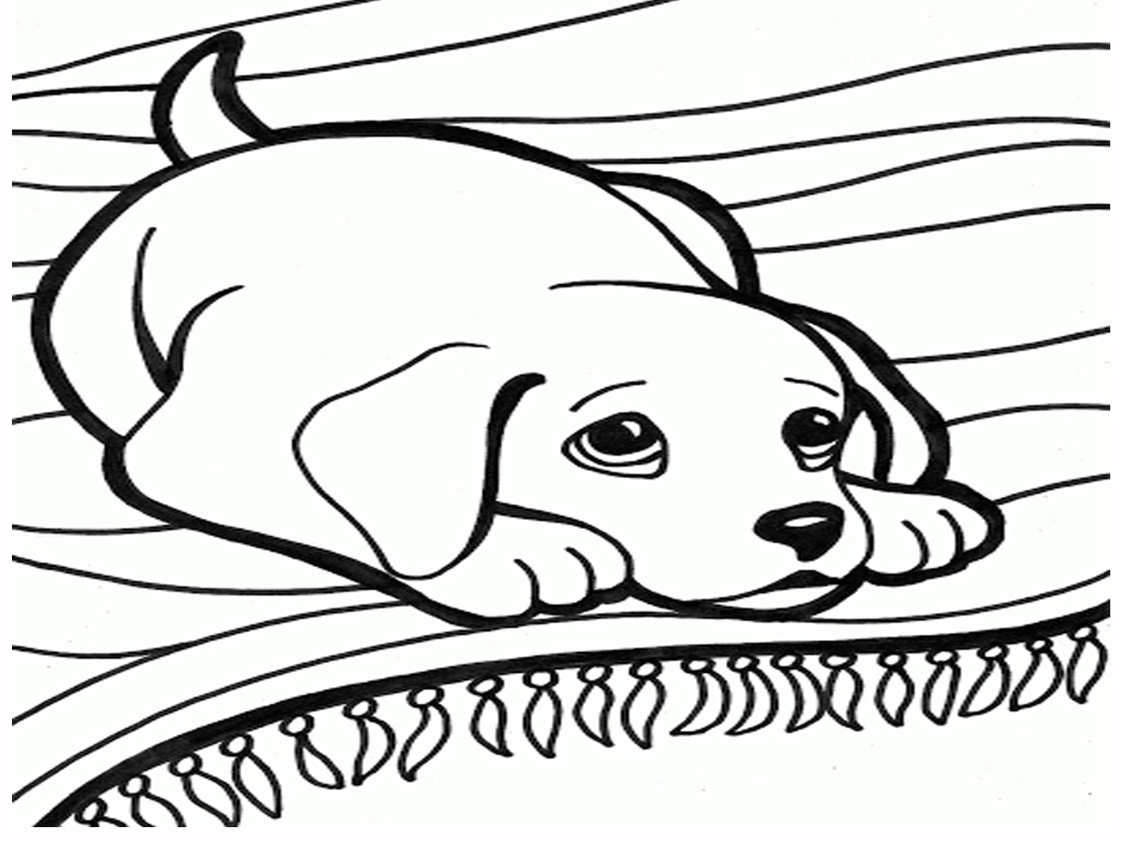 1600x1200 Dog Dish Coloring Page Free Draw To Color