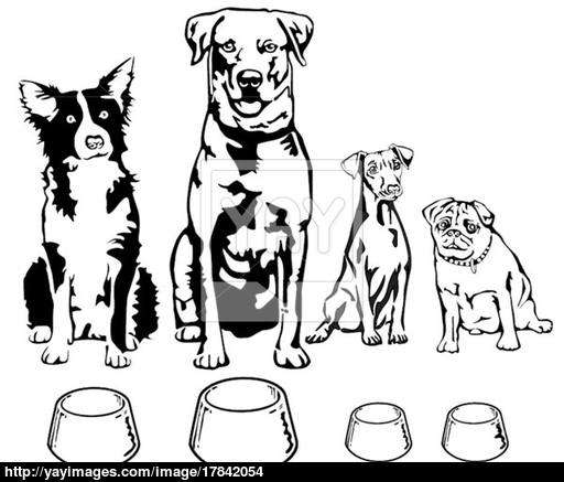 512x437 Four Dogs With Food Bowl Vector