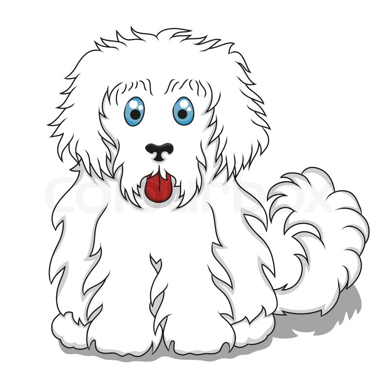 800x800 Cute Fluffy Cartoon Dog. Vector Illustration Of Cute Cartoon Dog