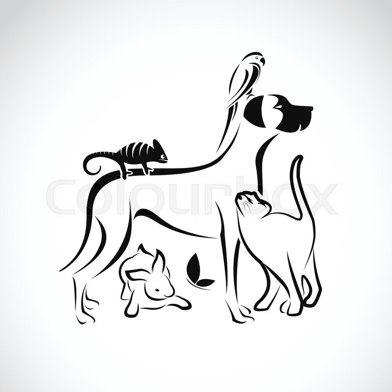 800x800 Vector Group Of Pets