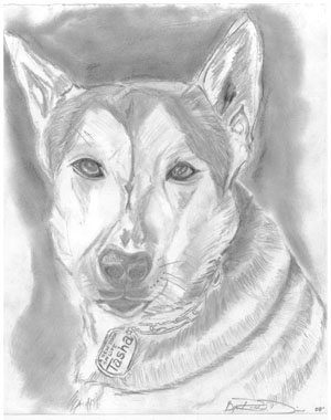 300x380 Dogs Behind Bars