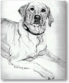 236x284 I Will Draw A Cute Picture Of Your Pet