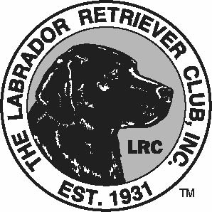 298x298 No To Silver Labs Action Centre Silver Labradors There's No