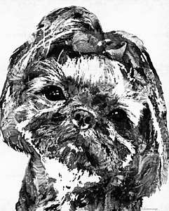 241x300 Shih Tzu Dog Paintings Fine Art America
