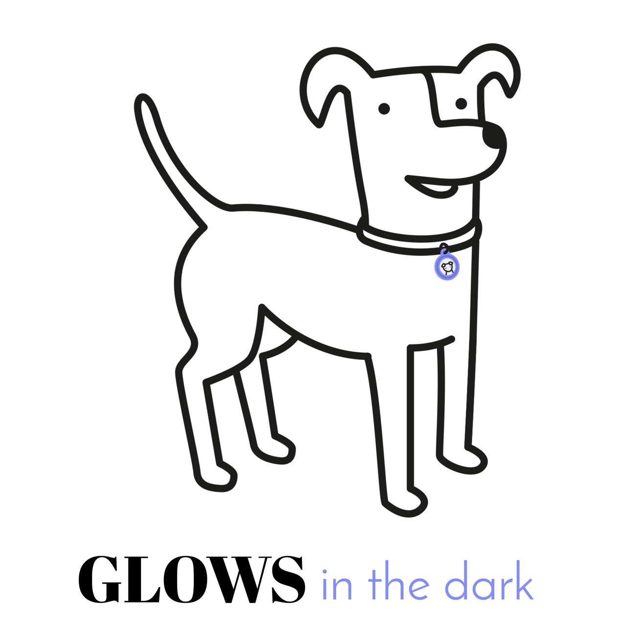 1308x1309 Dog Collar Charm Electric Purple