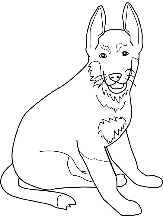 540x720 A Picture Of A Dog To Color Pin Drawn Coloring Page 3 Picture Dog