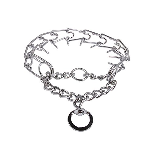 500x500 Stainless Steel Pinch Dog Collar