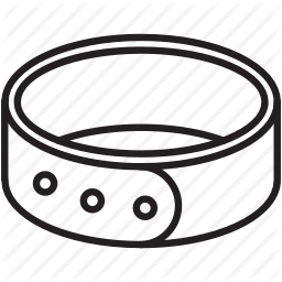 256x256 Belt, Cat, Collar, Dog, Identify, Pet Icon Icon Search Engine