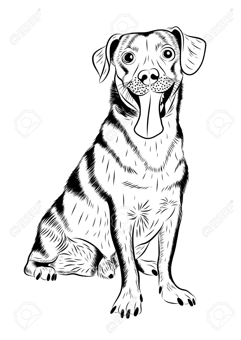 920x1300 Vector Hand Drawn Sketch Portrait Of A Cute Dog Royalty Free