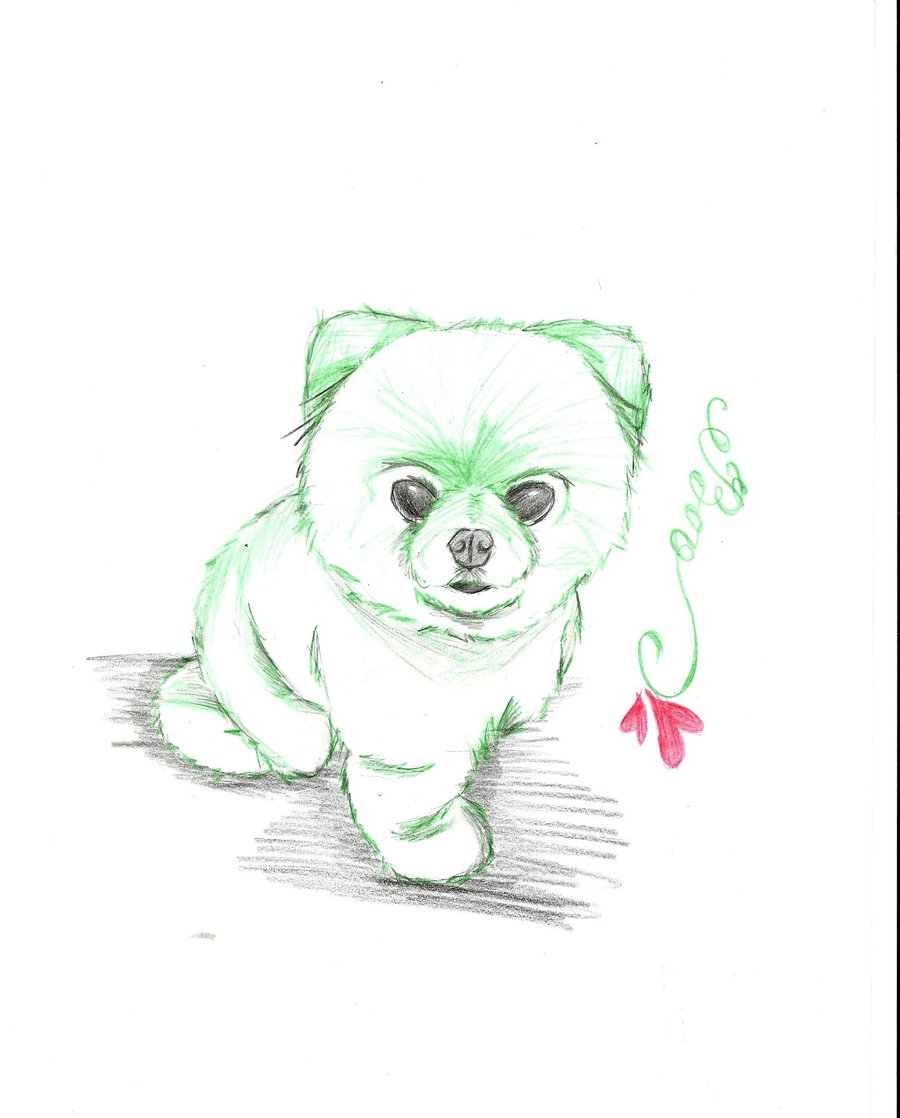 900x1118 Boo Dog 4 By Aoiayano