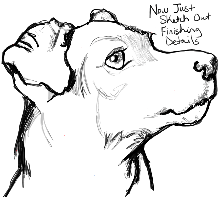 700x627 Learn How To Draw A Realistic Terrier's Face With The Following