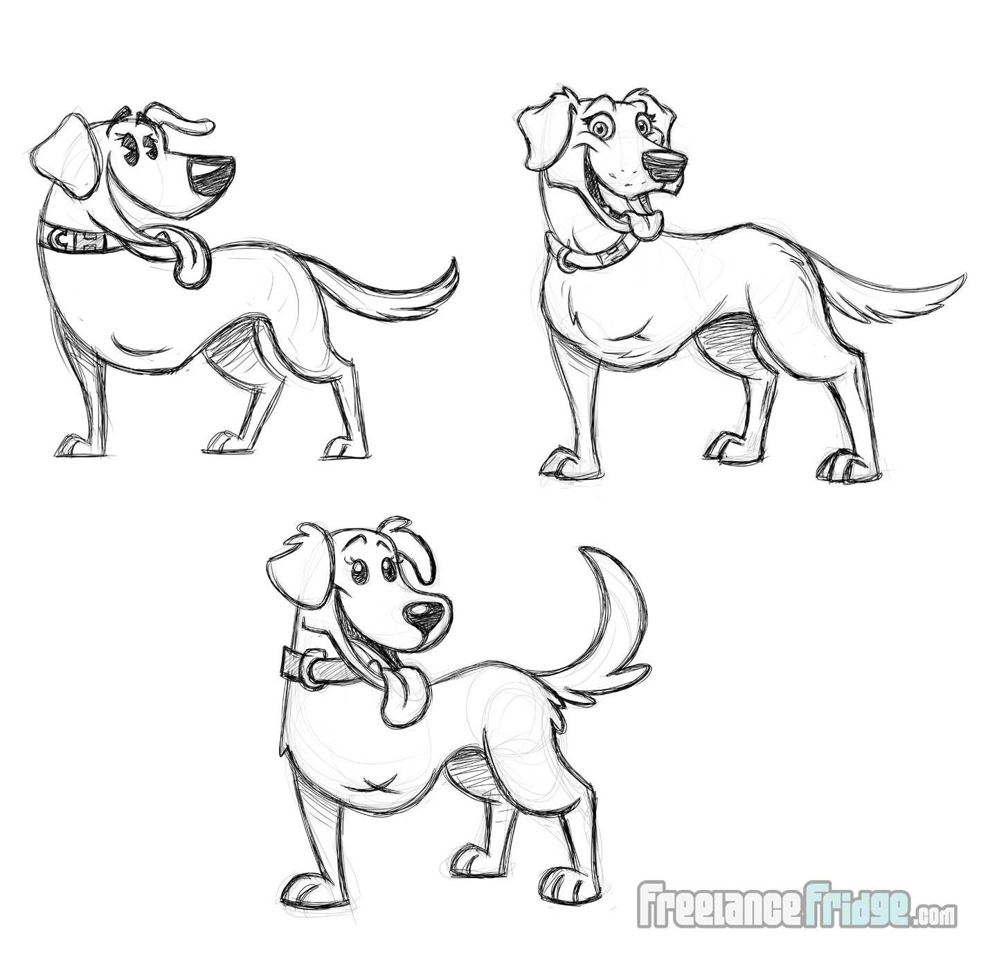 1427x1382 Misha's Message Of Pawsitivity Children's Book Illustrations