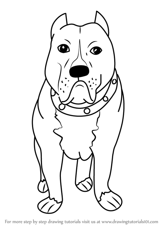 566x800 Learn How To Draw A Cartoon Pitbull Dog (Cartoon Animals) Step By