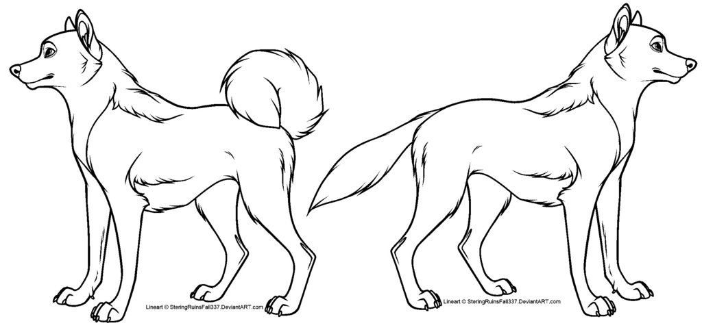 1024x485 Cartoon Dog