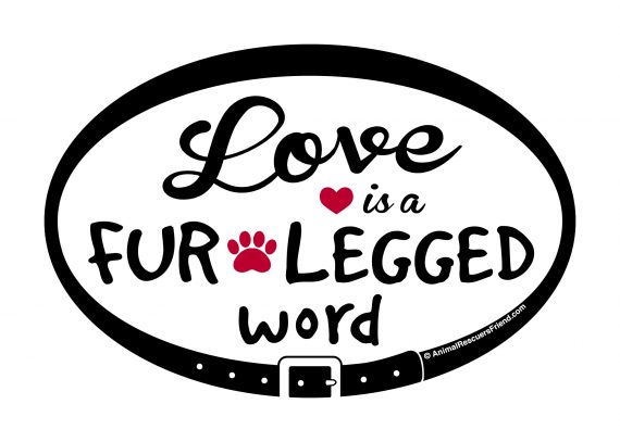 570x407 Love Is A Fur Legged Word Euro Pet Magnet