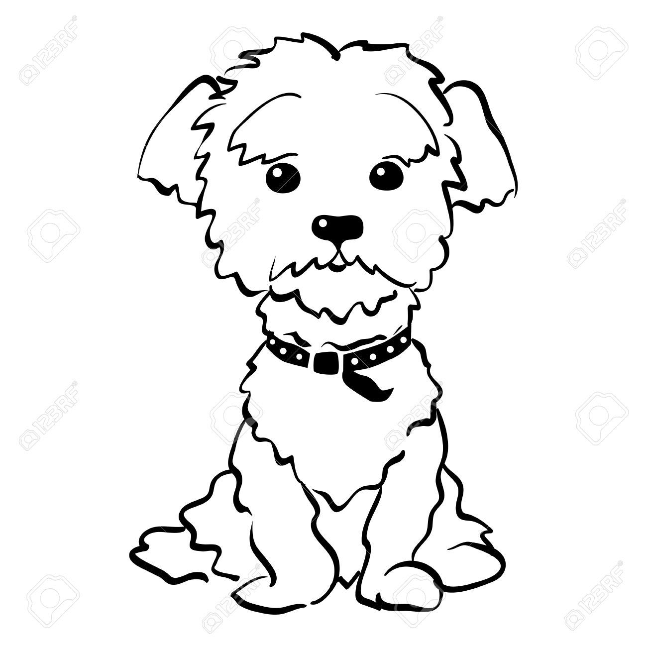 1300x1300 Sketch Funny Dog Maltese Breed Sitting Hand Drawing Vector Royalty
