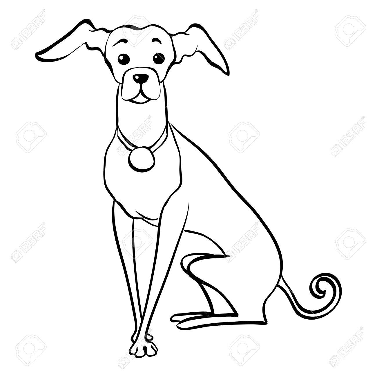 1300x1300 Sketch Funny Dog Italian Greyhound Breed Sitting Hand Drawing