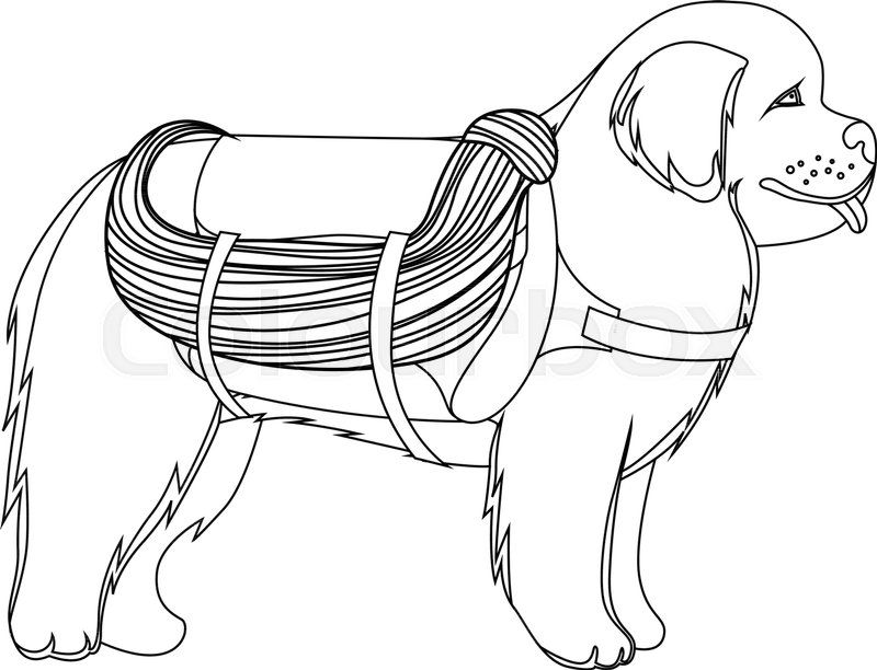 800x612 Newfoundland Dog Lifesaver Outline Vector Illustration Stock
