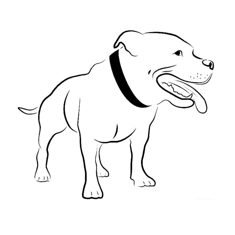 800x800 Pitbull Mouth Open Drawing Outline Sticker (6.7 X 5.7) Barking