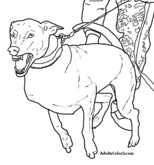 516x553 Working Dogs Crucial Canines