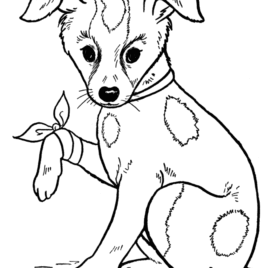 268x268 Coloring Pages For Kids Dogs