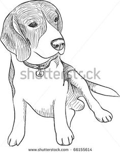 236x300 Cat Sketch Realistic Cat Sketch By Lasania Things To Draw