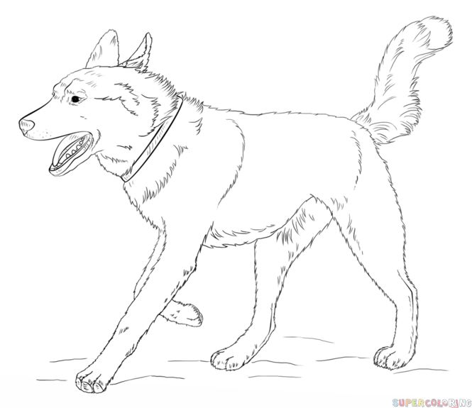 Dog Drawing Simple