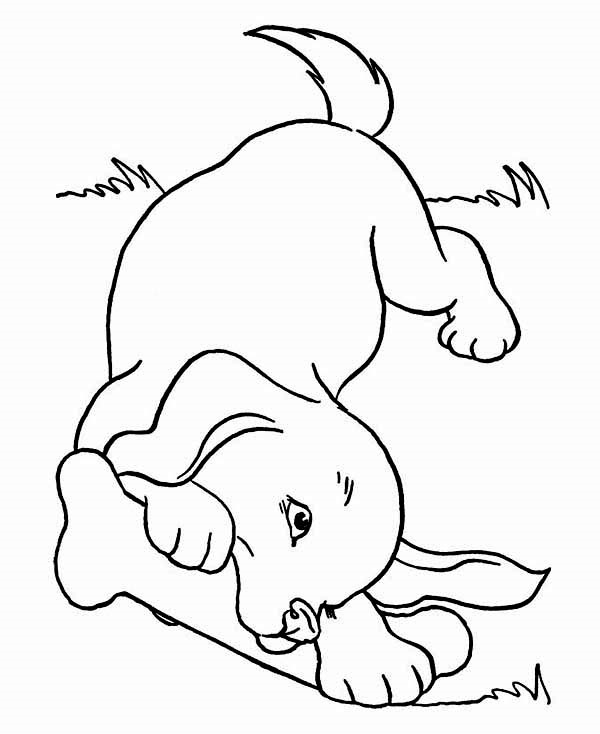 600x734 40 Simple Dog Drawing To Follow And Practice