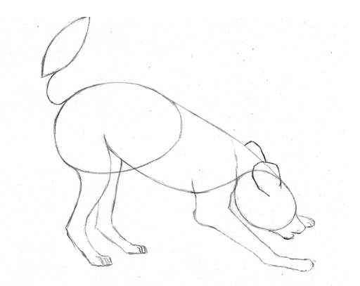 512x407 How To Draw An African Wild Dog Pencil Sessions