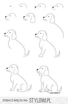 236x358 Learn How To Draw A Bird! Easy!! Bird, Rock Painting And Craft