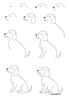 236x333 The Kids Will Love This How To Draw A Dog Step By Step