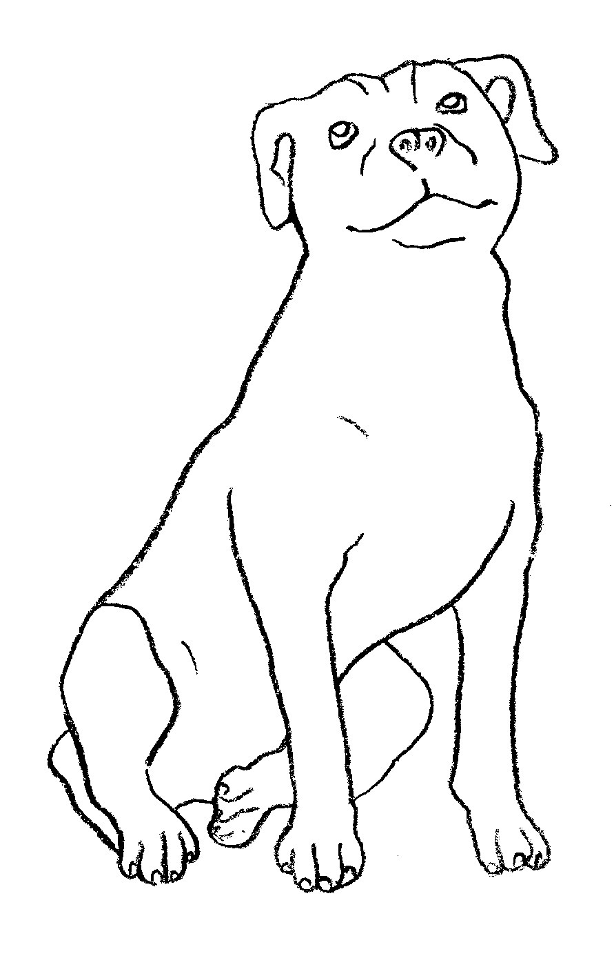 891x1402 Artist Submissions