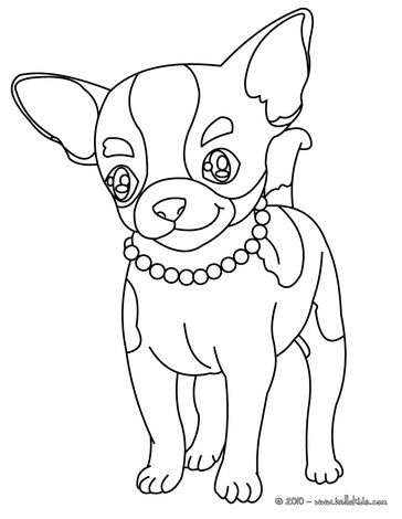 364x470 Chihuahua