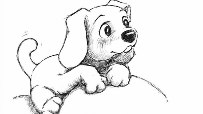 805x453 Drawing How To Draw A Cute Realistic Puppy Step By Step With How