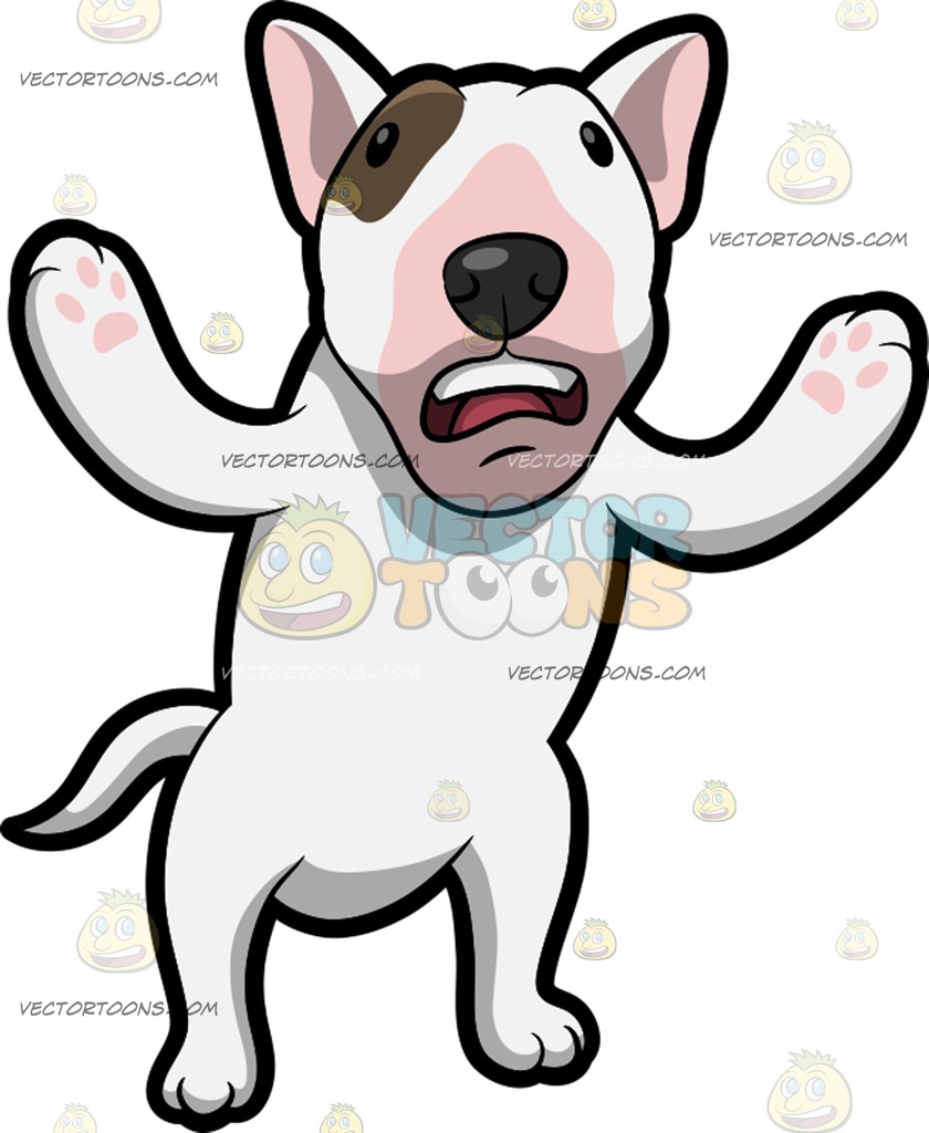 840x1024 A Confused Bull Terrier Cartoon Clipart