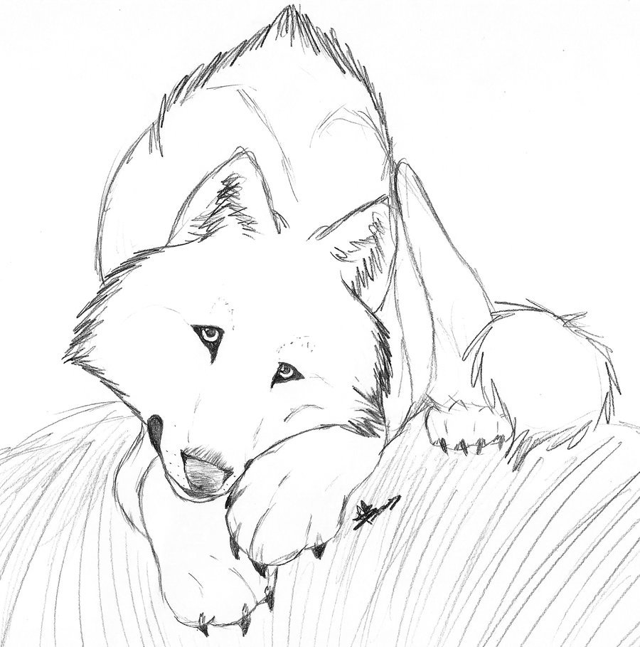 900x909 Puppy Dog Eyes By Rurouna