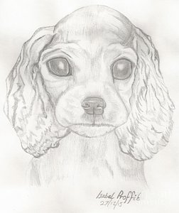 252x300 Grey Eyes Drawings