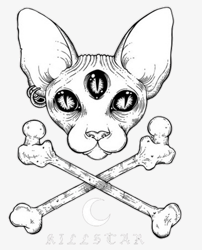 650x805 Three Chihuahua Dog, Wild Wind, Rock Style, Three Eyes Png Image