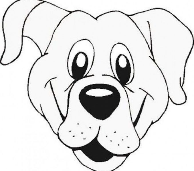 678x600 Dog Face Coloring Pages Coloring