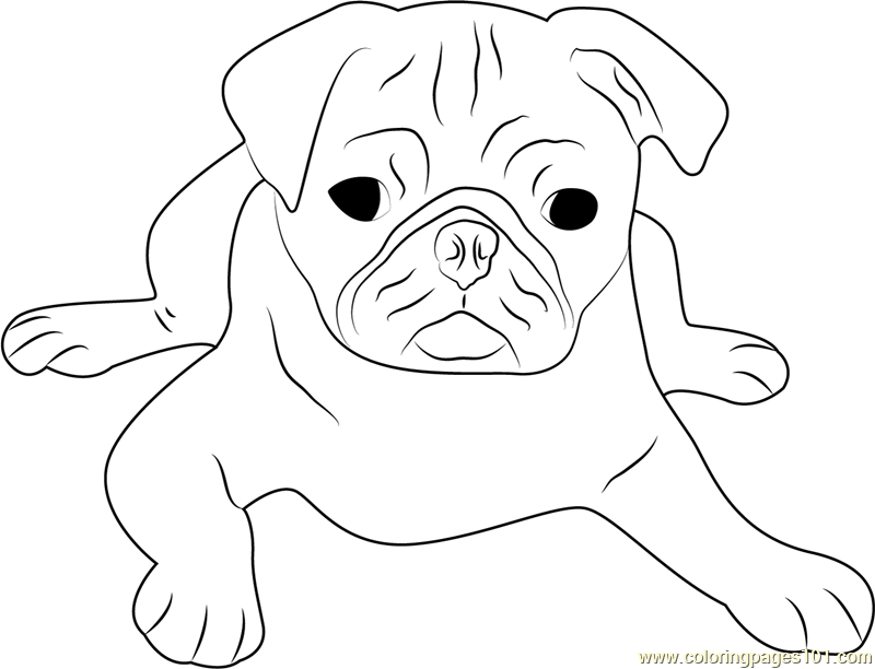 800x612 Dog Face Coloring Page Printable Dog Face Coloring Pages
