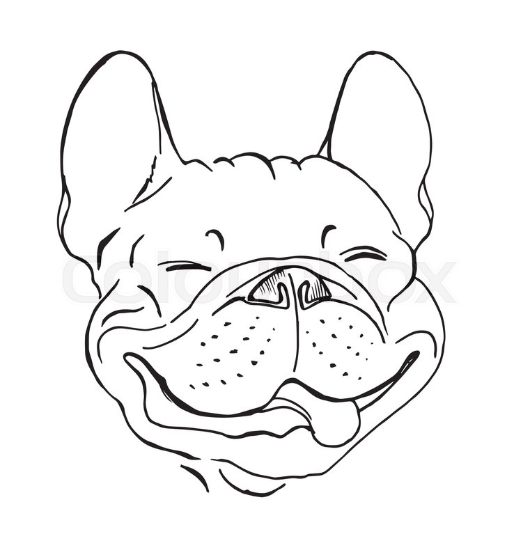 761x800 French Bulldog, Portrait, Happy Dog Face, Sketch, Black And White