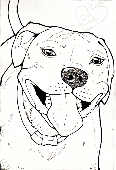 485x710 Image Result For How To Draw A Pitbull Face Animal Drawings