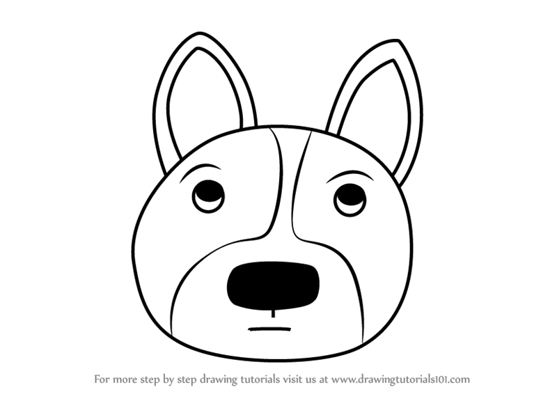 800x566 Learn How To Draw A Welsh Corgi Dog Face For Kids (Animal Faces