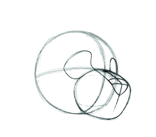 600x526 National Dog Day How To Draw A Dog Face