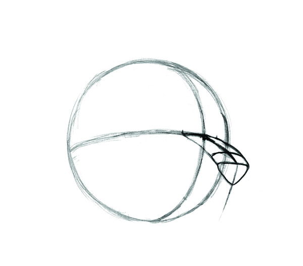 600x526 National Dog Day How To Draw A Dog Face